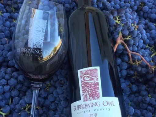Burrowing Owl glass on grapes