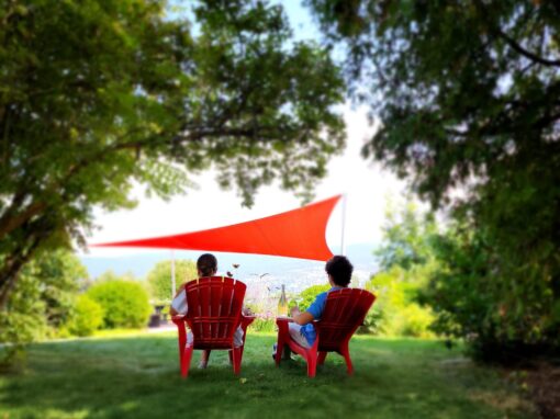 8th Generation Vineyard more outdoor tasting options