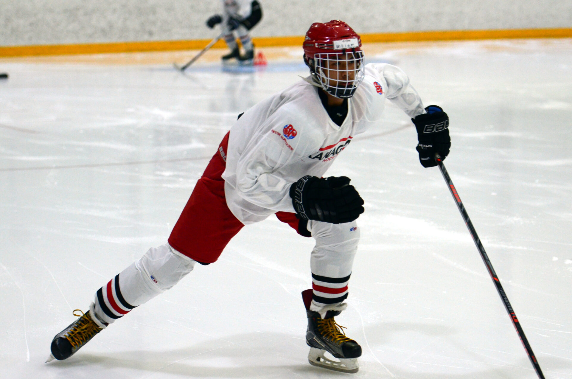 Okanagan Hockey Camps