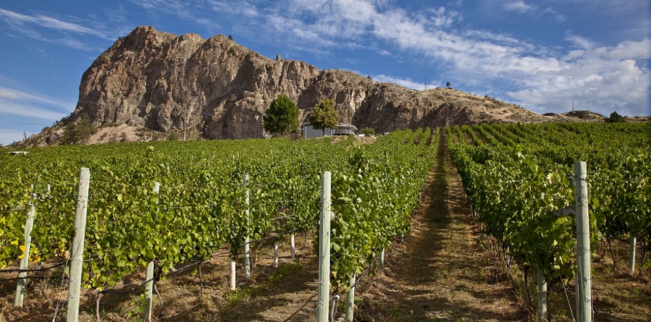 View of Peachcliff Bluff through the vines
