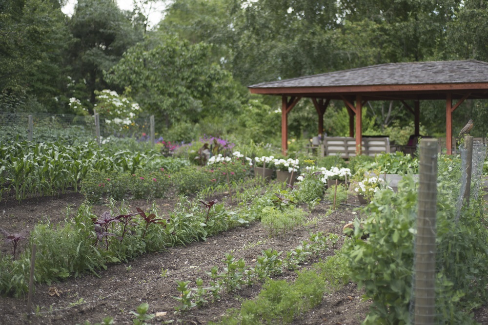 Linden Gardens