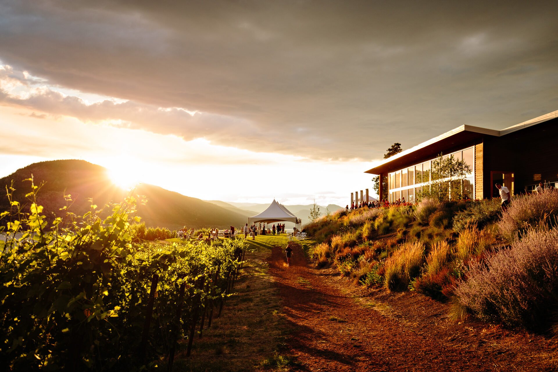 Poplar Grove Winery - Visit Penticton