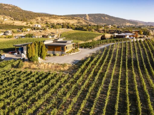 Tightrope Winery vineyards and tasting room