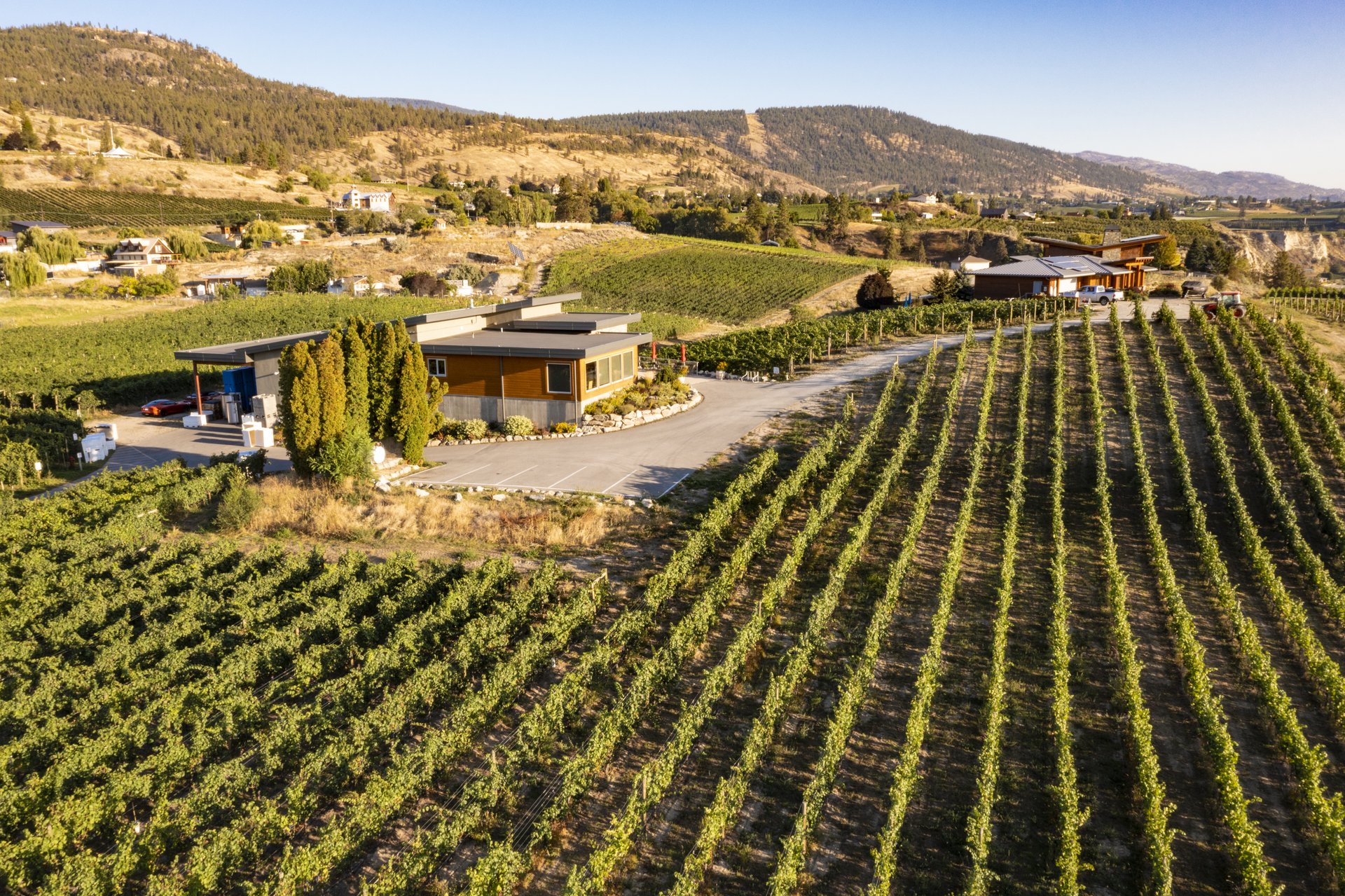 Tightrope Winery vineyards and tasting room