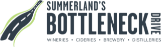 bottleneck drive logo