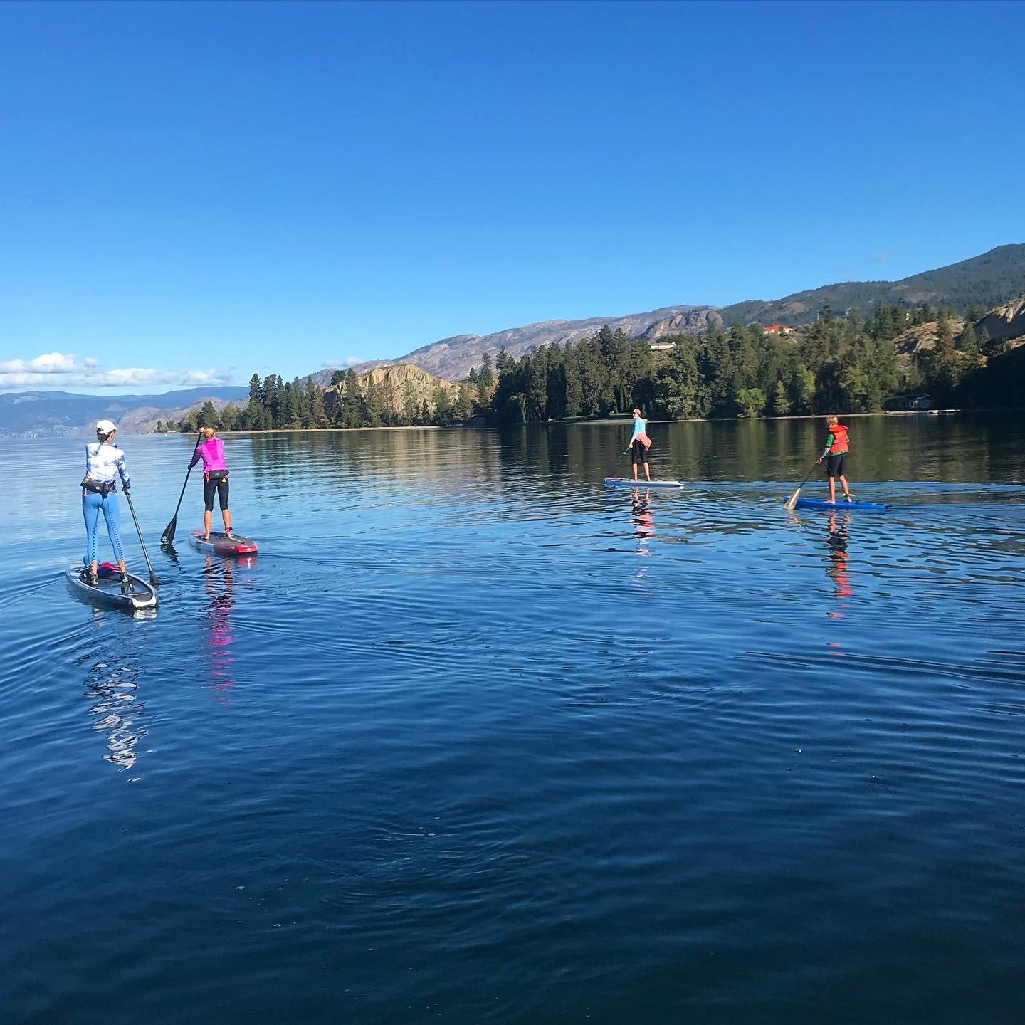 group stand up paddle board