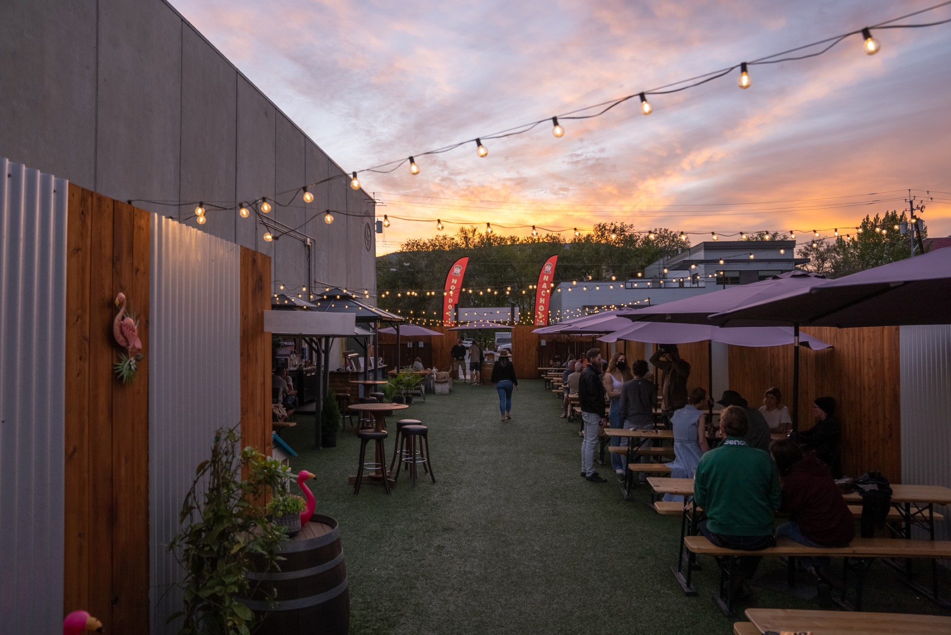 Cannery Brewing 2024-3