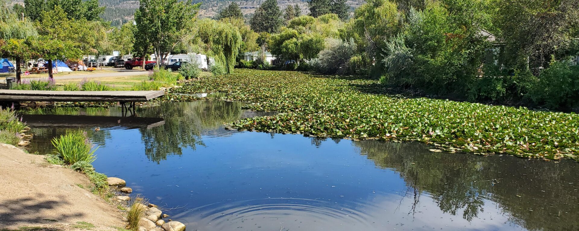 South Beach Gardens Pond