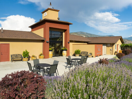 wild goose winery patio
