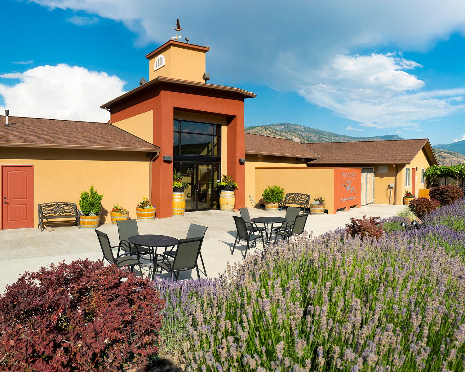 wild goose winery patio