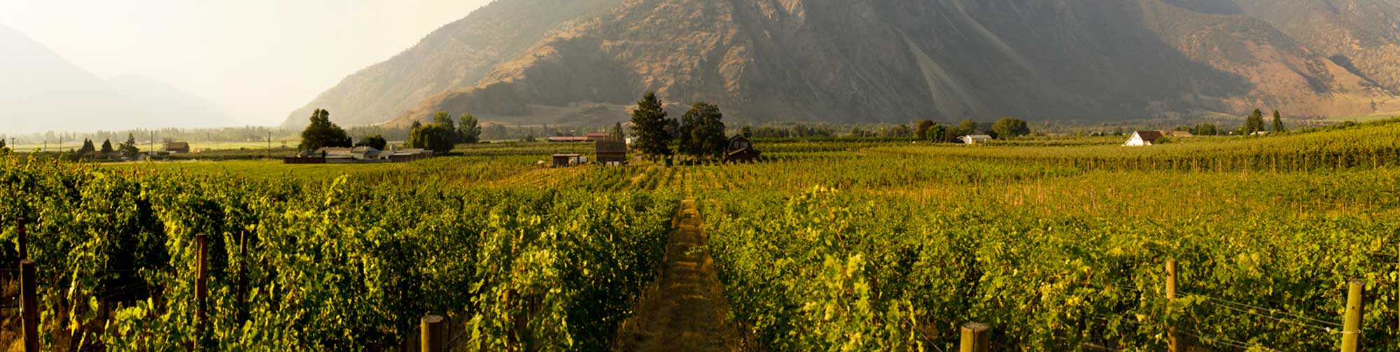 Similkameen Wineries