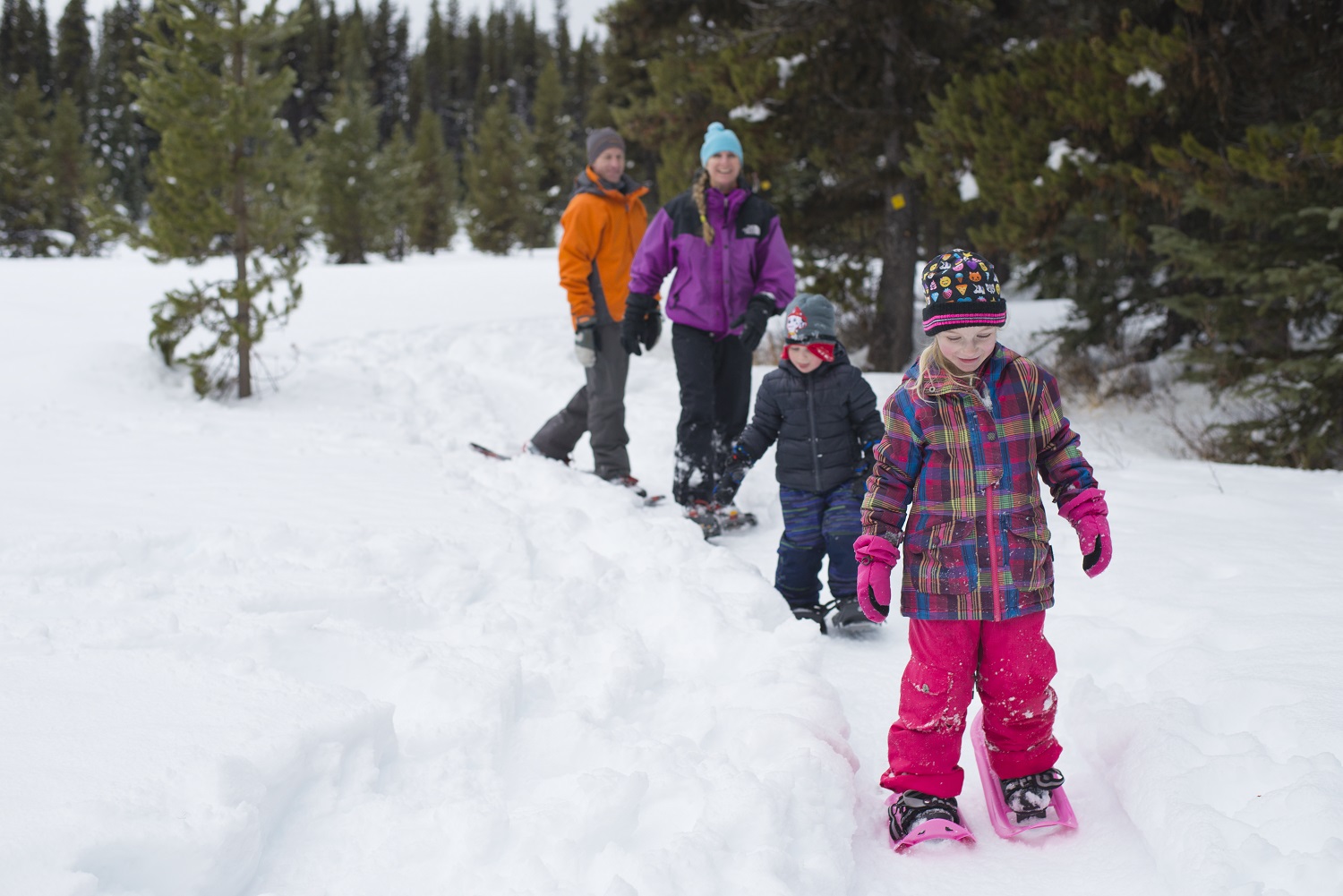 Nickel Plate Nordic Centre