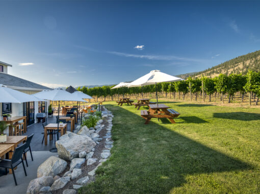 four shadows winery patio