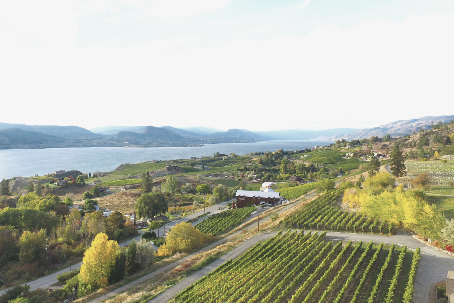hillside winery