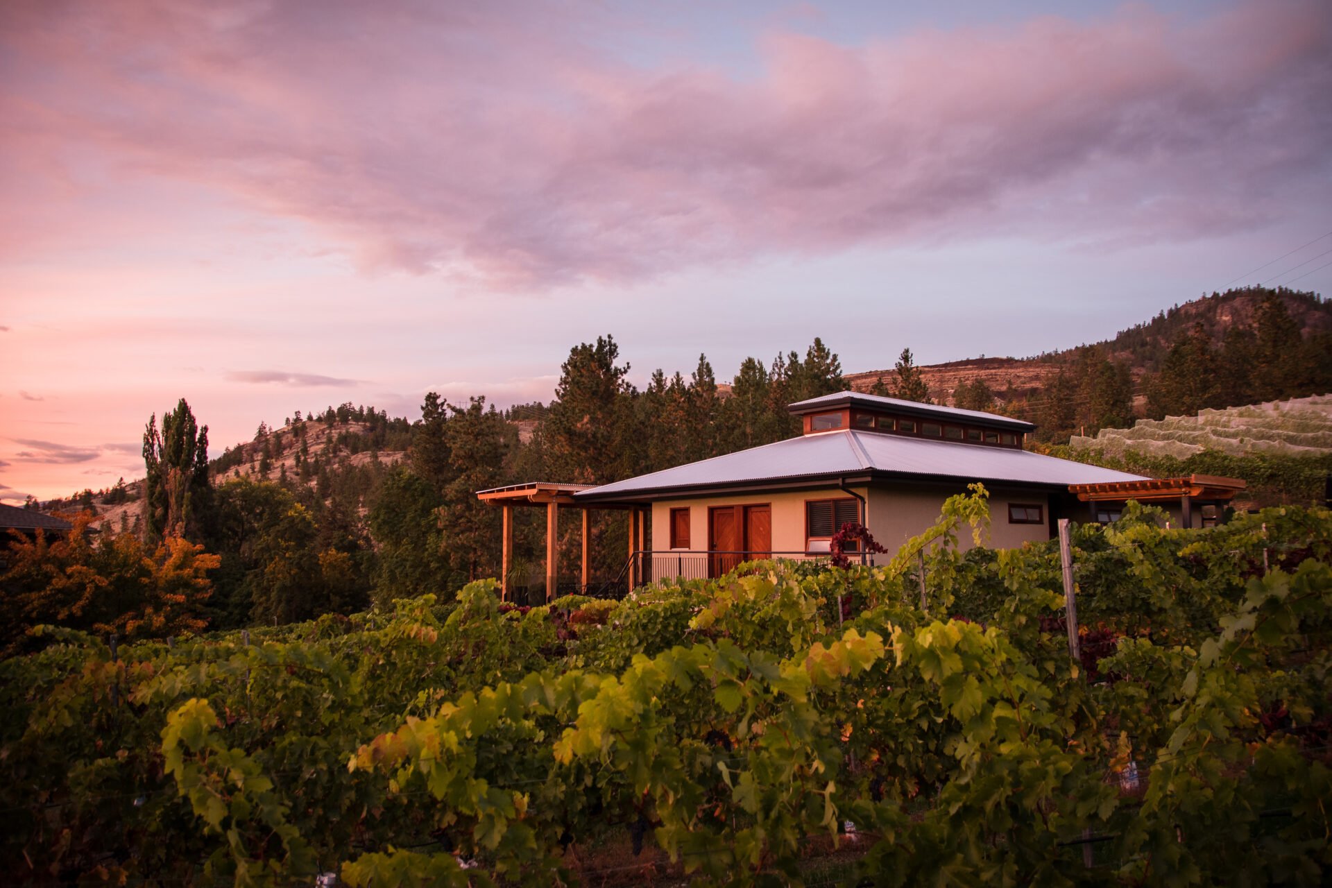 La Frenz Winery Tasting Room at sunset through the vineyards