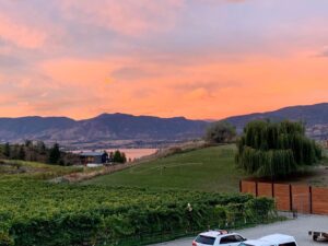 sunset at wesbert overlooking vineyards