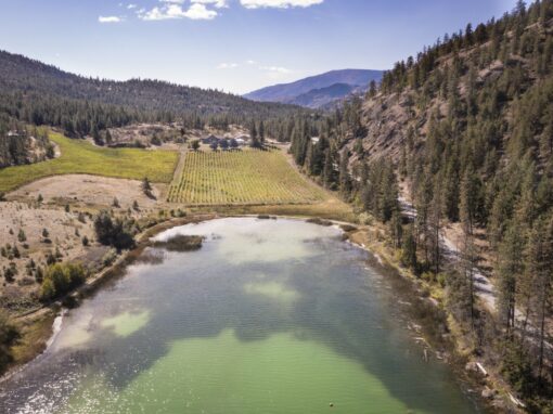 Nighthawk Vineyards aerial view with lake