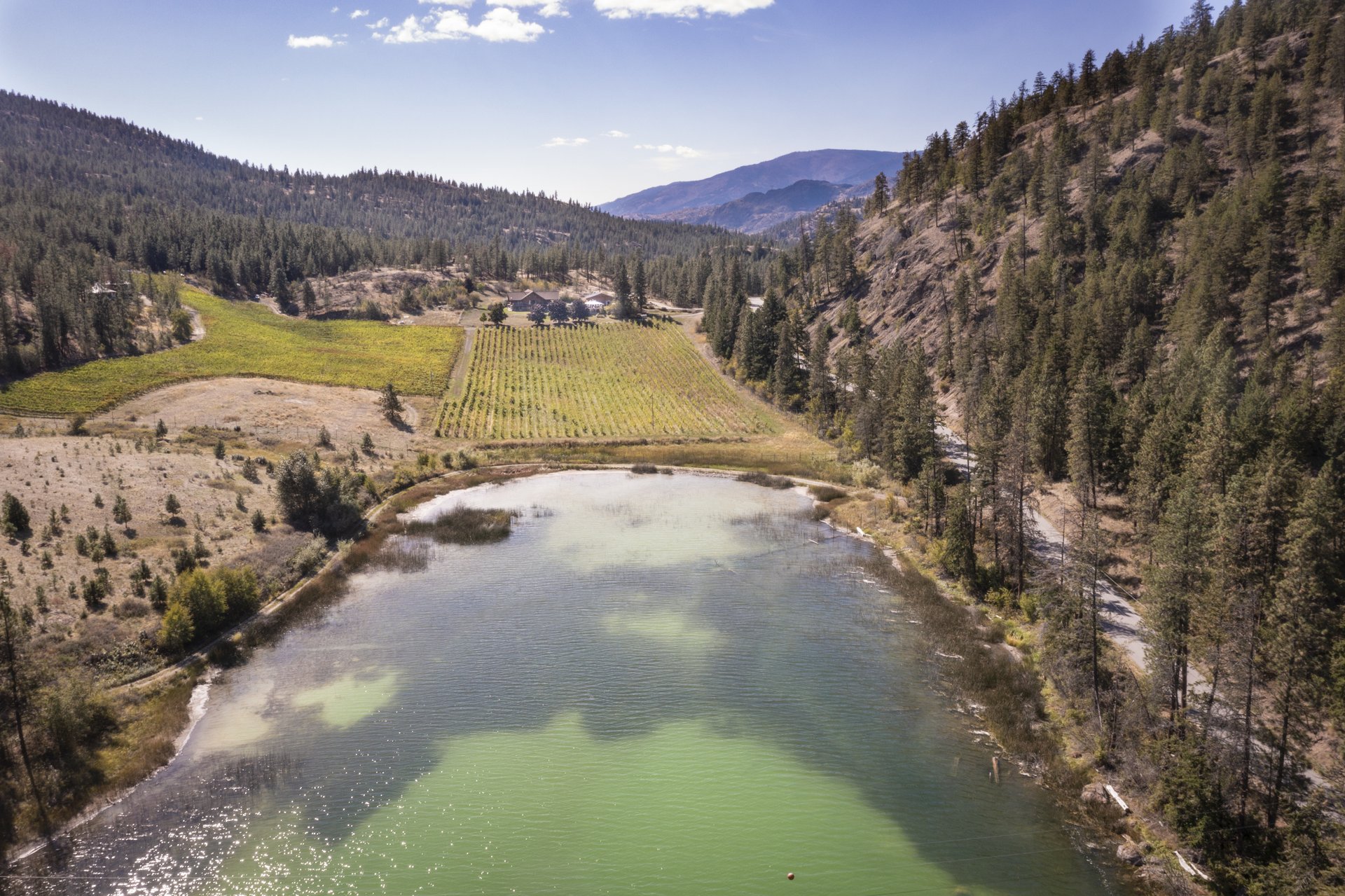 Nighthawk Vineyards aerial view with lake