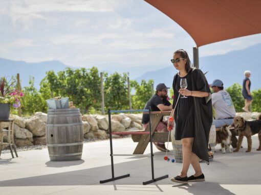 Three Sisters Winery playing a game on the patio