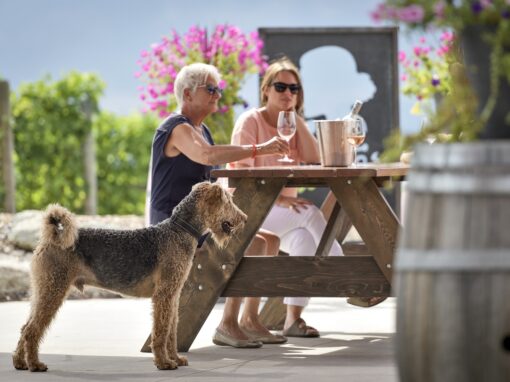 Three Sisters Winery sitting on the dog friendly patio