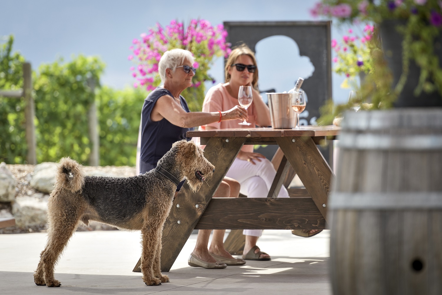 Three Sisters Winery sitting on the dog friendly patio