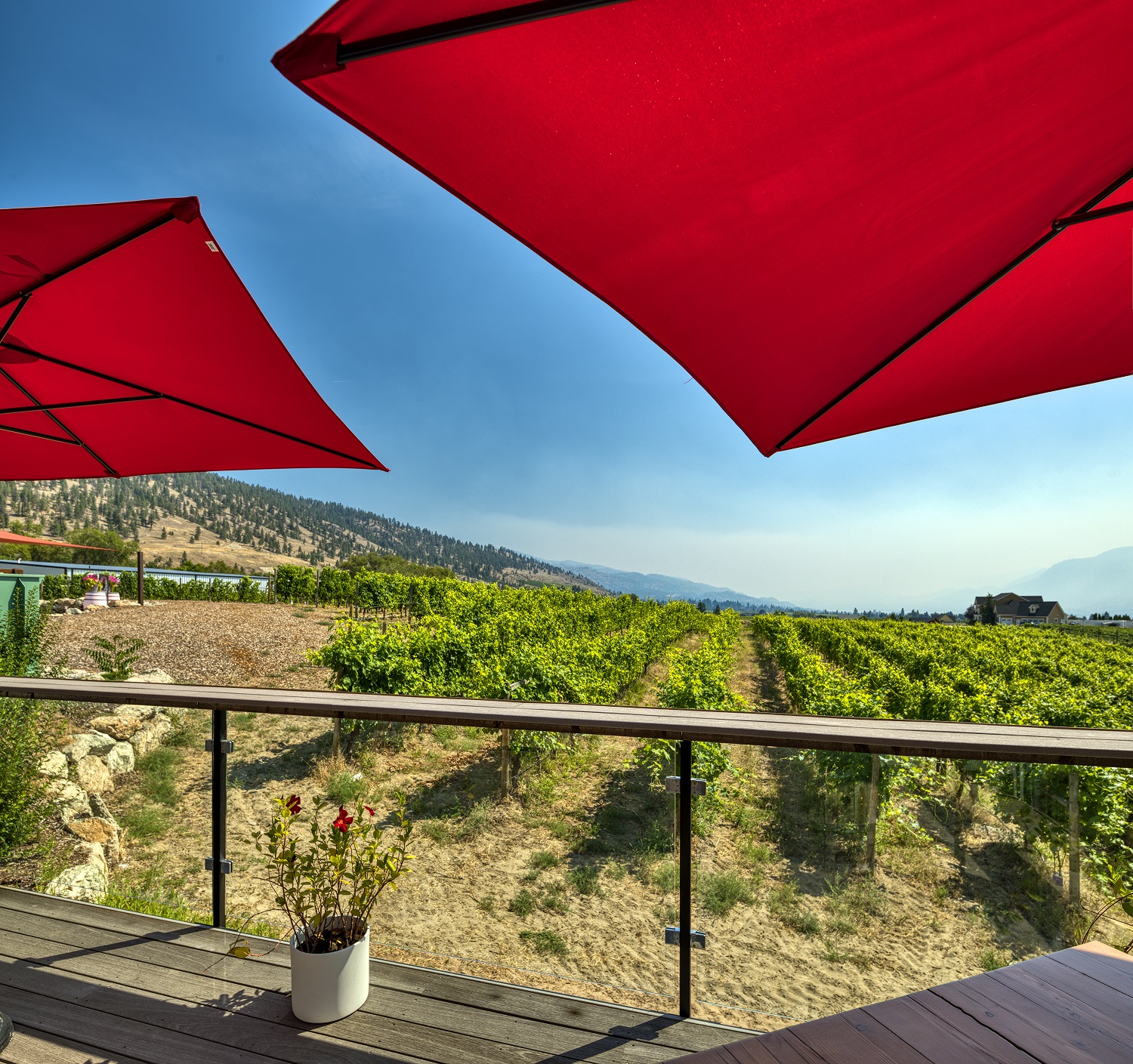 Three Sisters Winery patio views of the vineyard