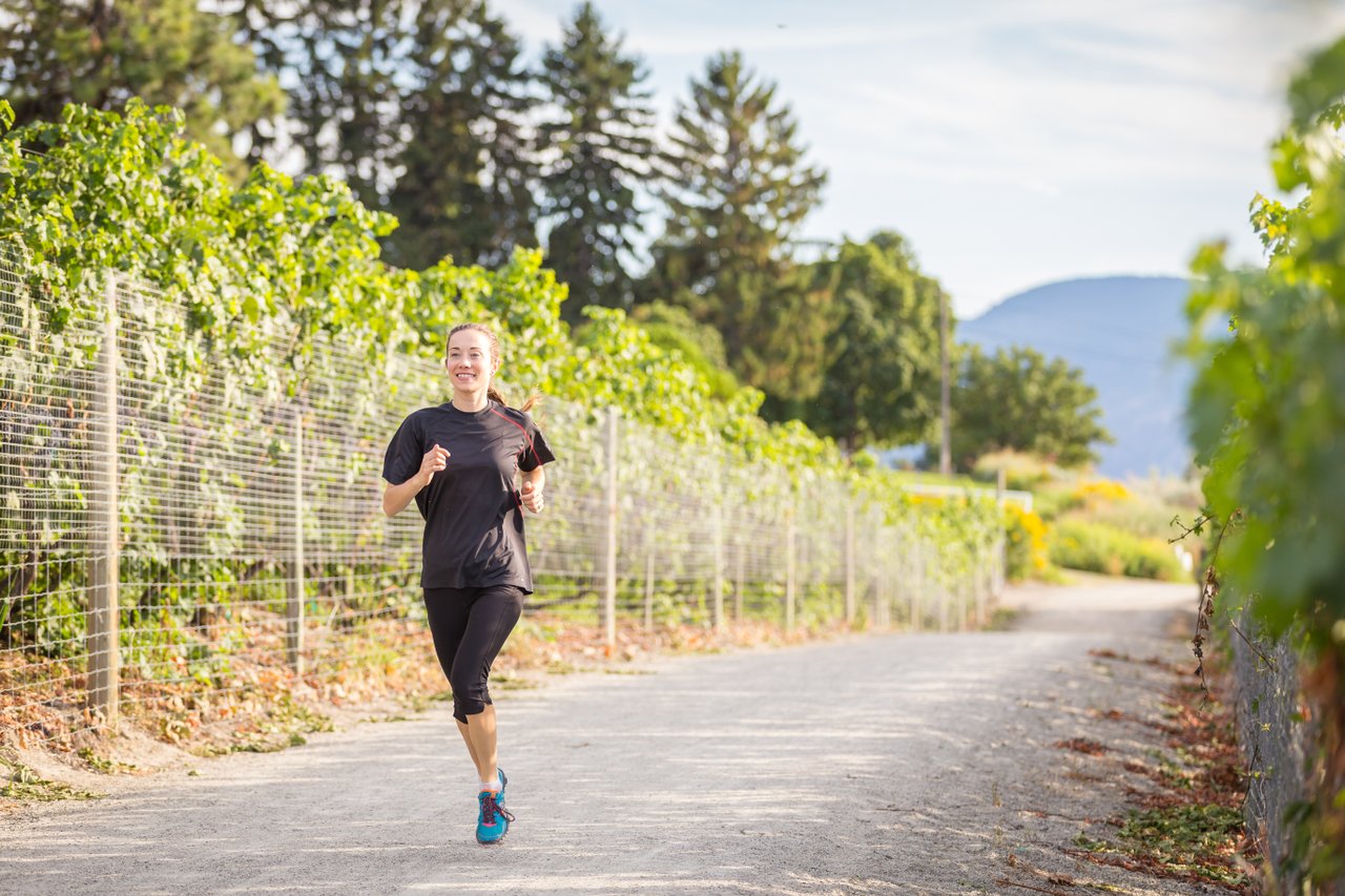 runnong on the kvr amongst the vineyards