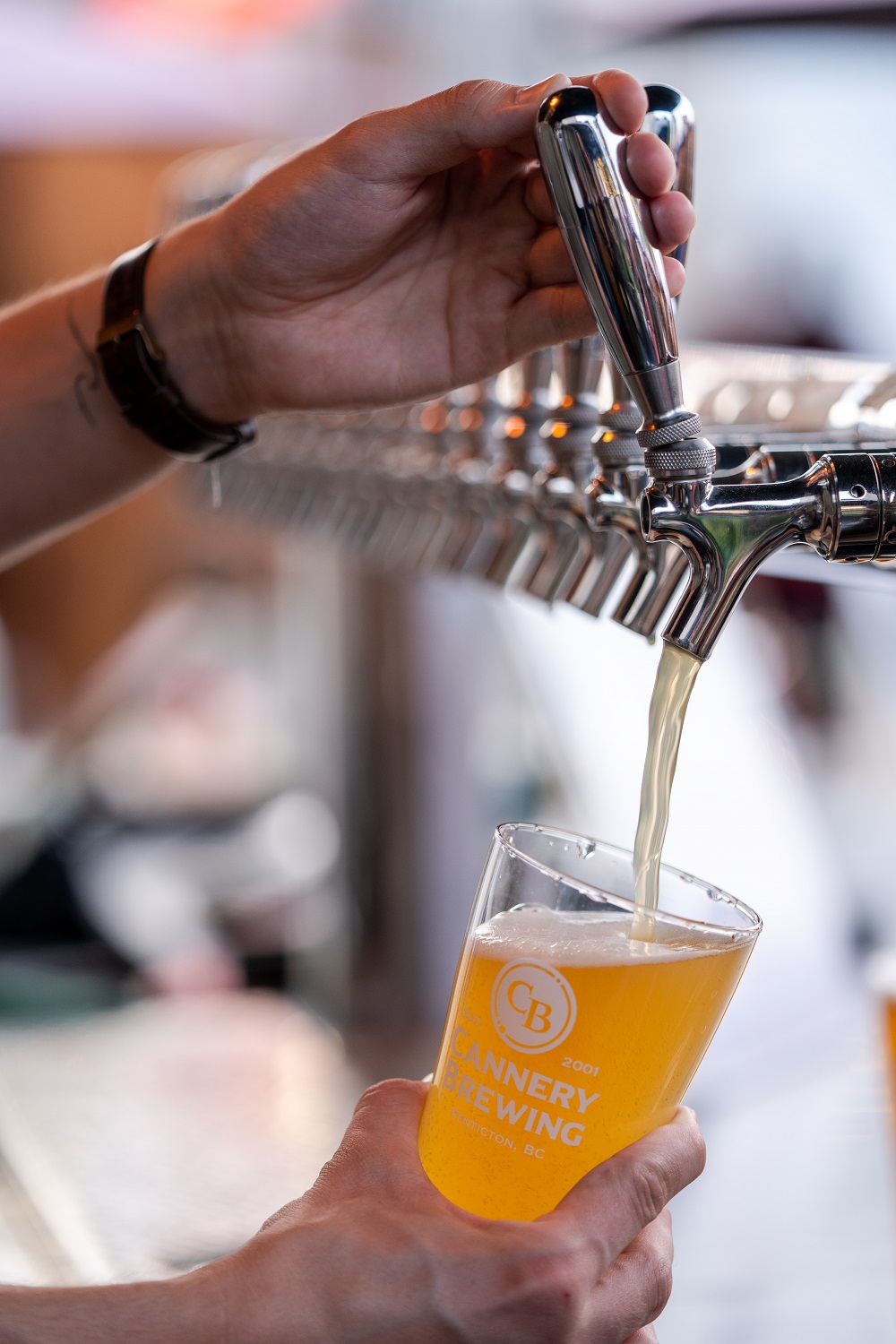 Cannery Brewing beer pouring from tap
