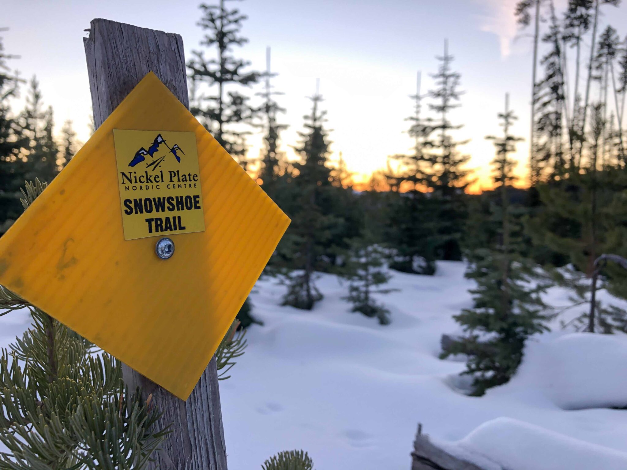 A Snowshoe DayTrip in Penticton Visit Penticton