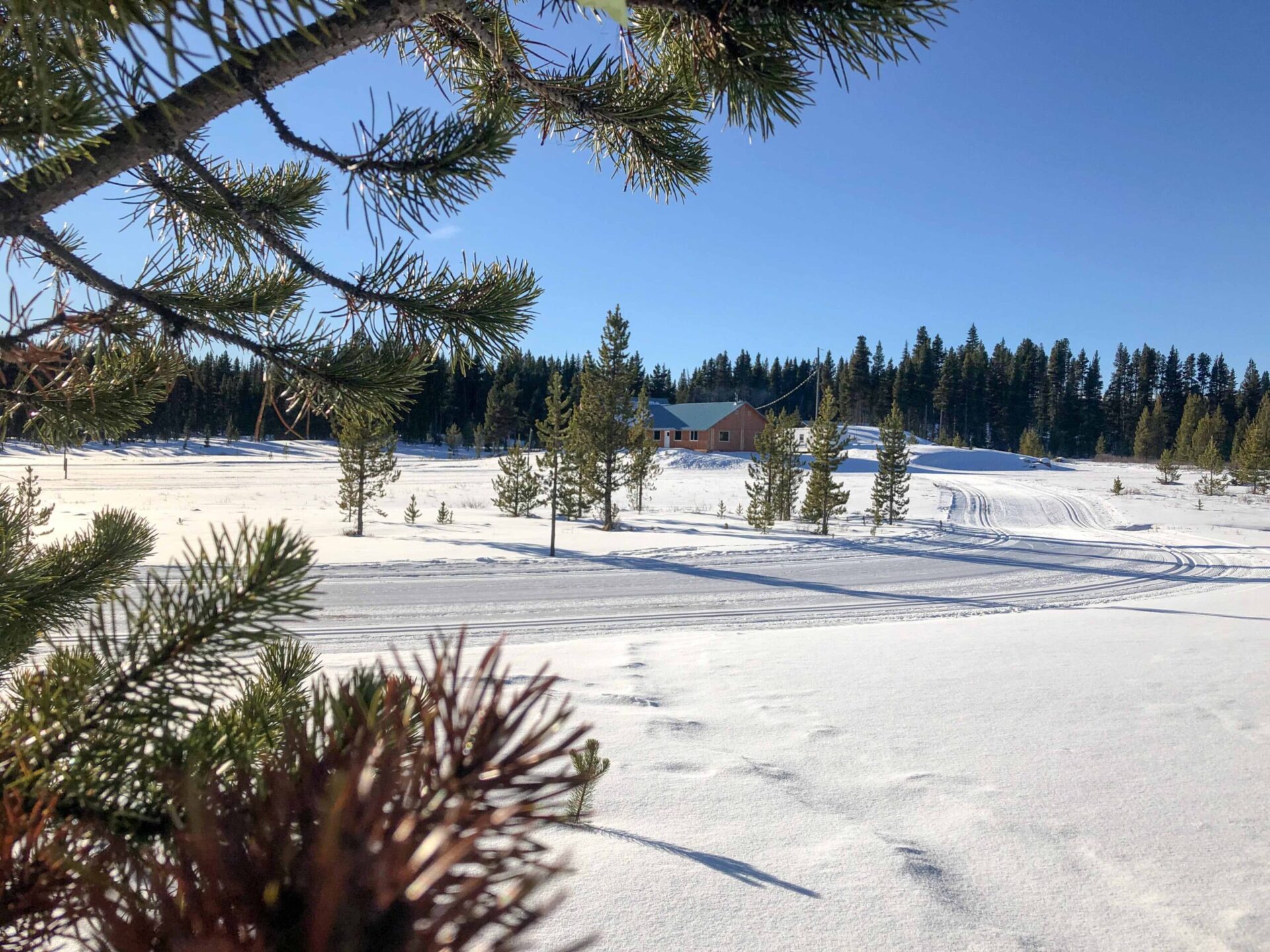 A Snowshoe DayTrip in Penticton Visit Penticton