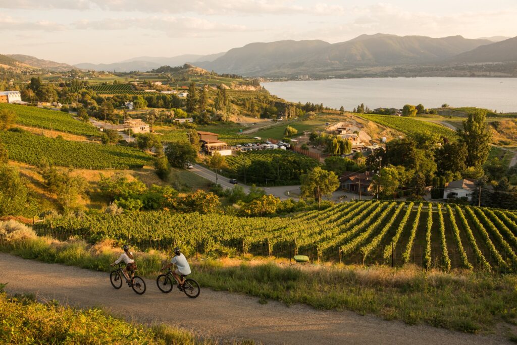 Couple Riding Bikes along the KVR overlooking the Naramata bench