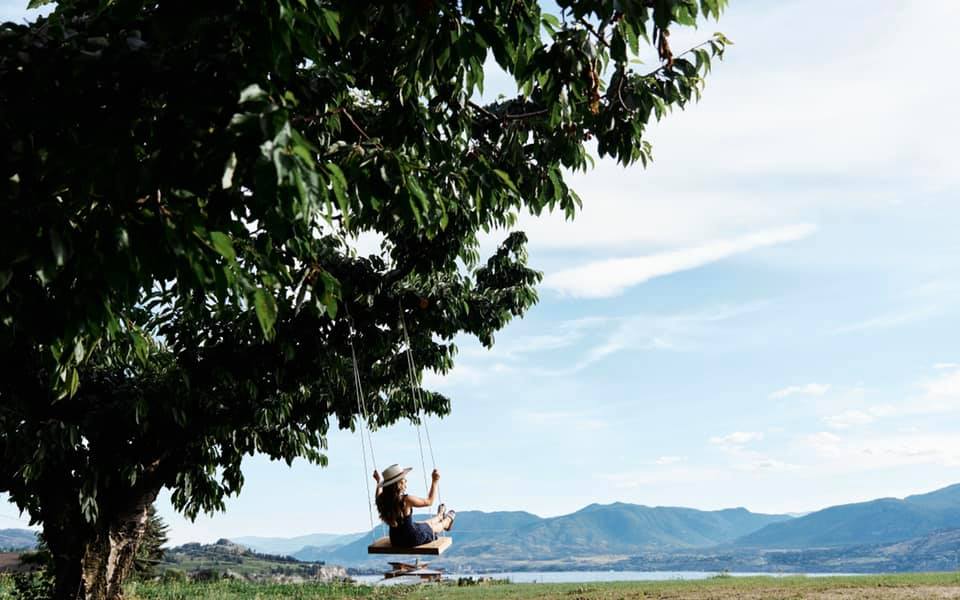 La Petite Abeille Cider swing overlooking okanagan