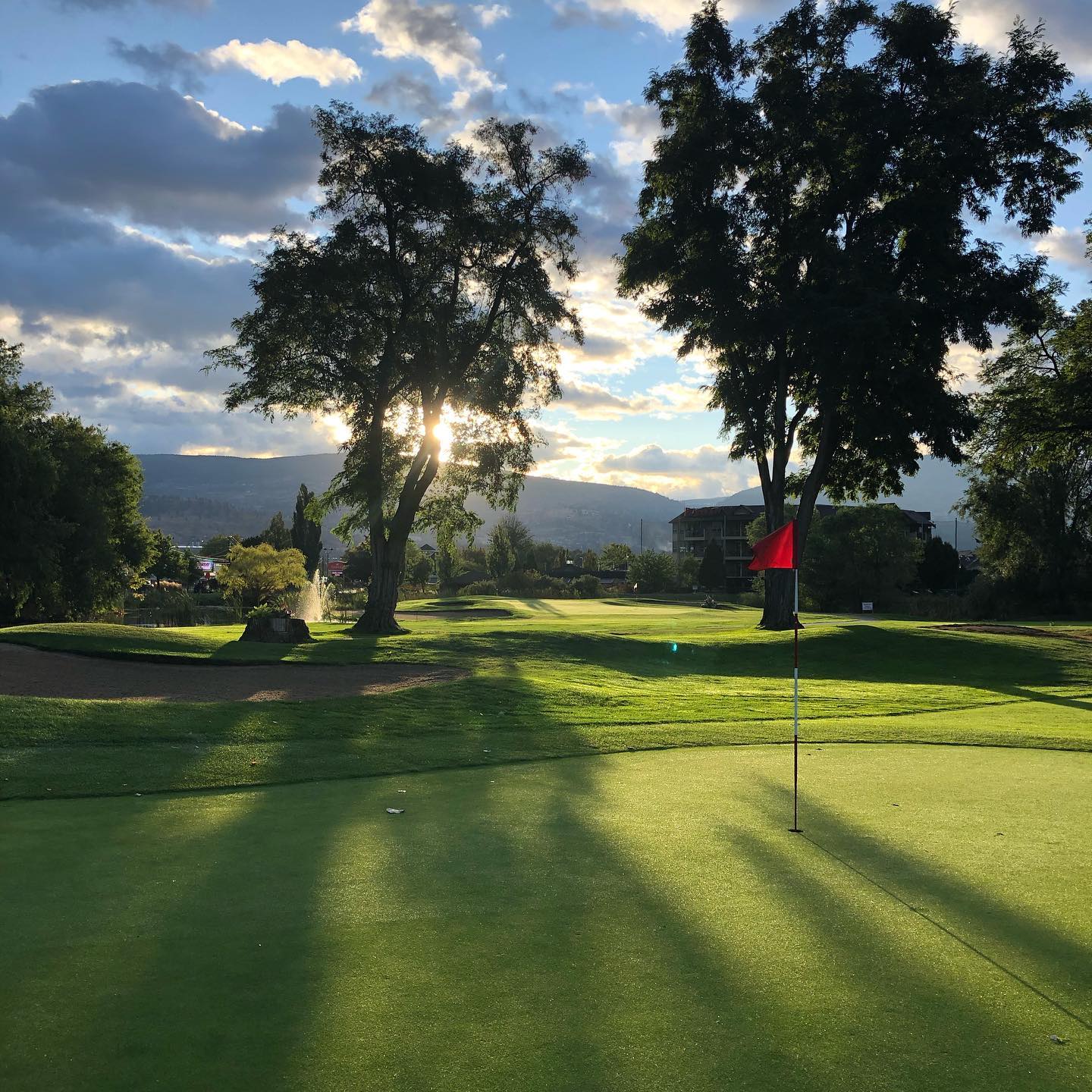 Penticton Golf & Country Club sunlight through trees on a green