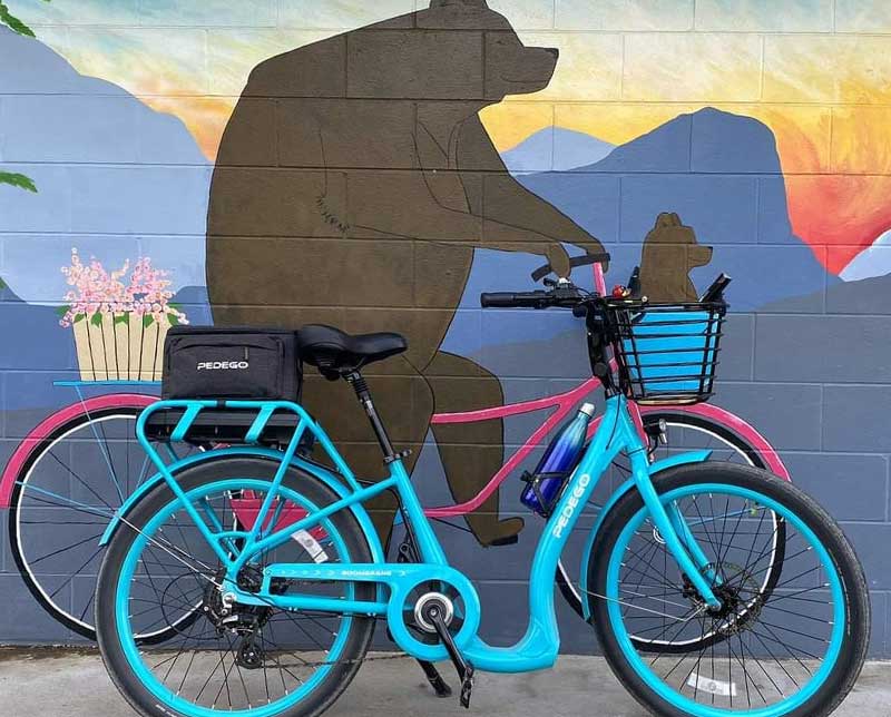 Pedego Bikes with Bear on bike painting