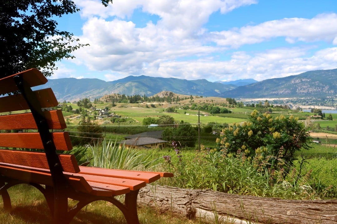 Park bench at Maple Leaf Spirits overlooking naramata bench and penticton