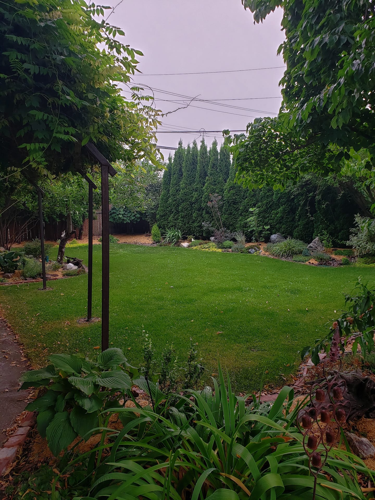 Neighbors Penticton Guest House backyard