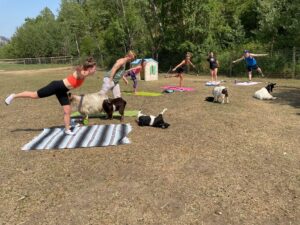 gottagoat farm - goga goat yoga