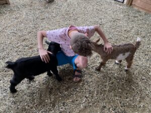 gottagoat farm kid playing with goats