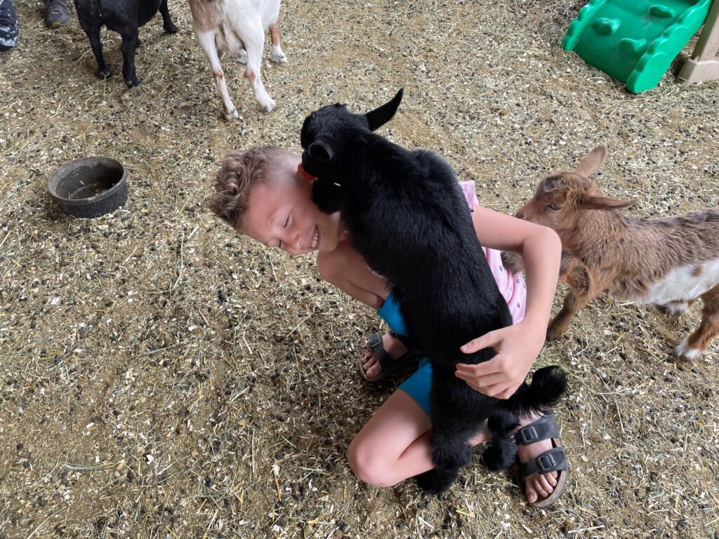 gottagoat farm kid on a kid