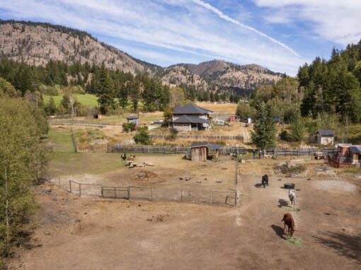 GottaGoat Farm horses