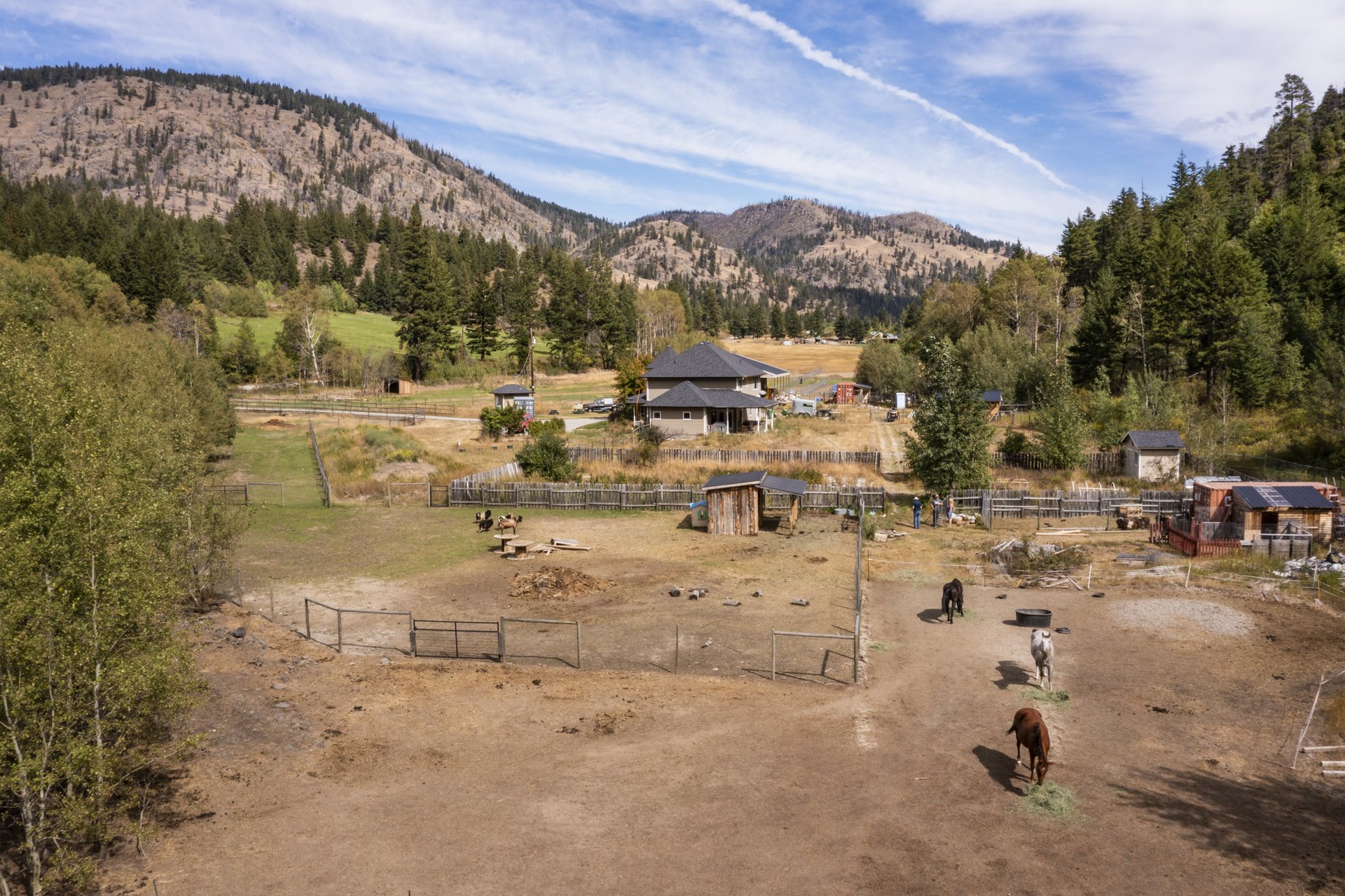 GottaGoat Farm horses