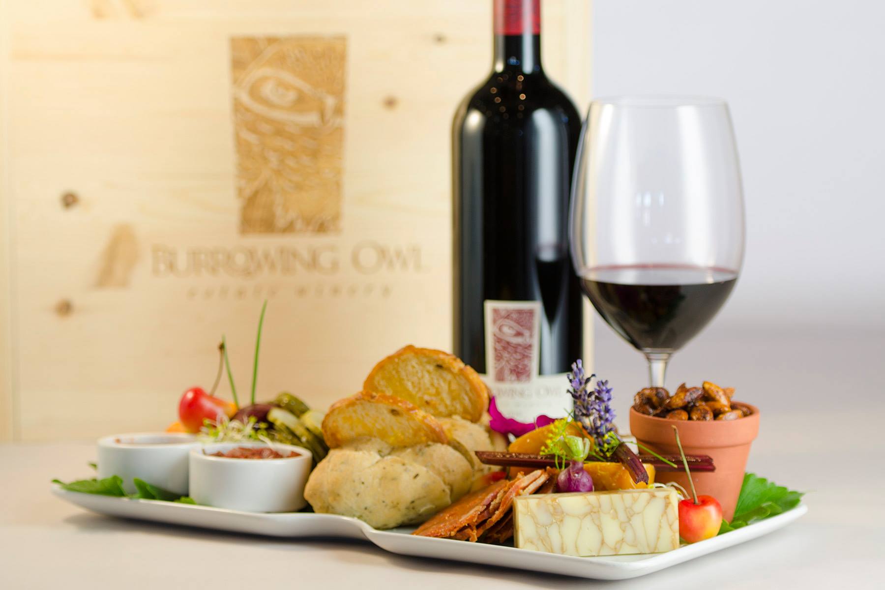 burrowing owl food and wine
