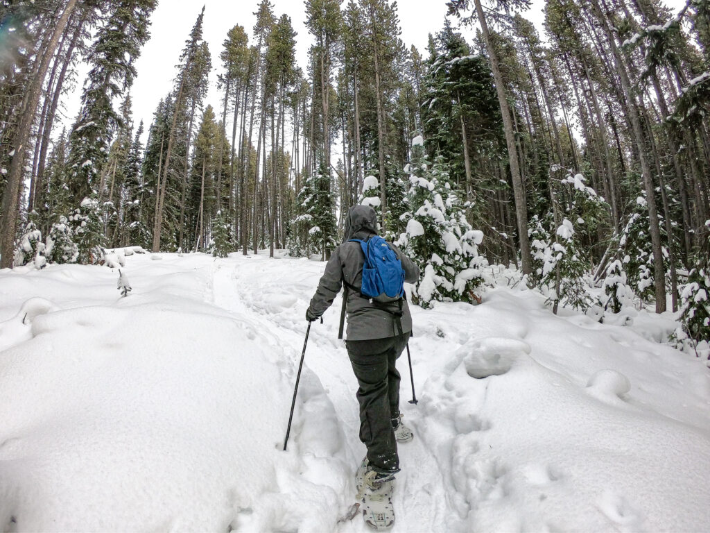 Snowshoeing at Nickel Plate Nordic Centre