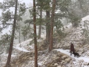 Women and dog hiking the trails of Campbell Mountain