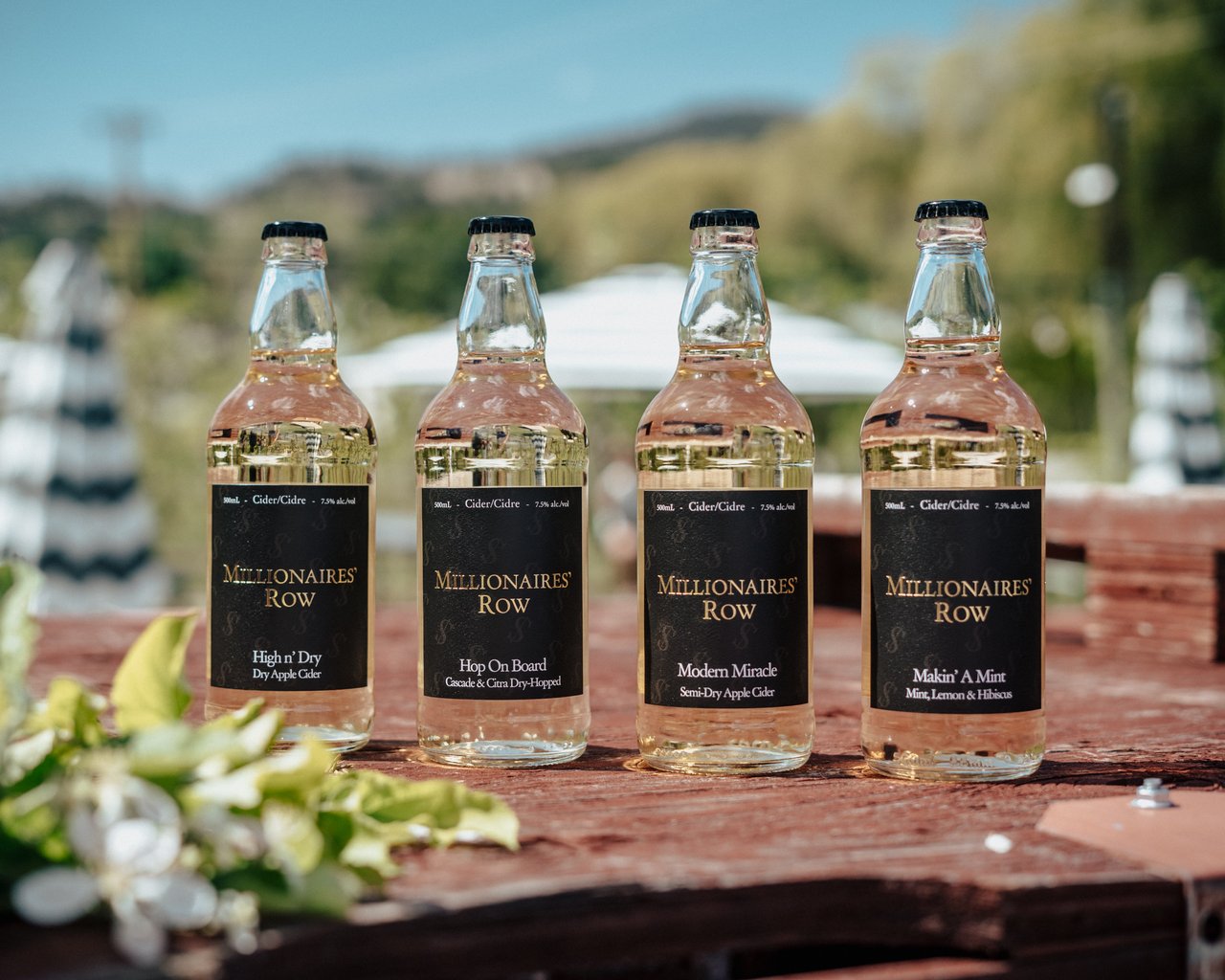 Millionaires Row Cider lineup of ciders