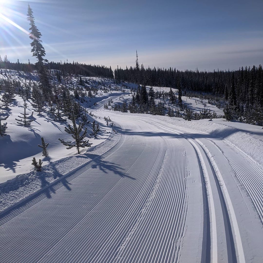fresh groomed trails at Nickle Plate Nordic Centre