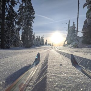 Close up view of nordic skis in the groomed tracks