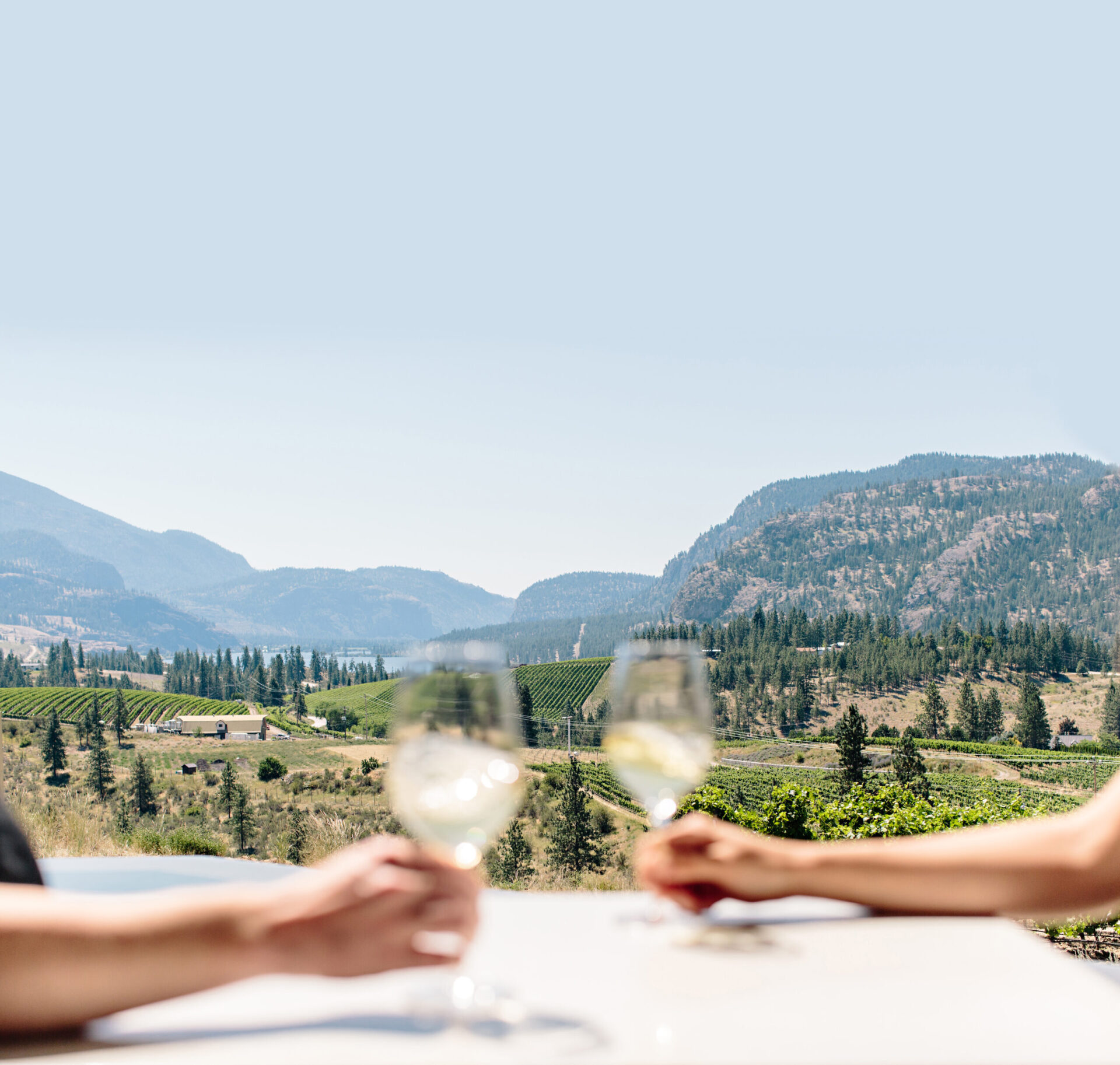 wine and views at liquidity wines