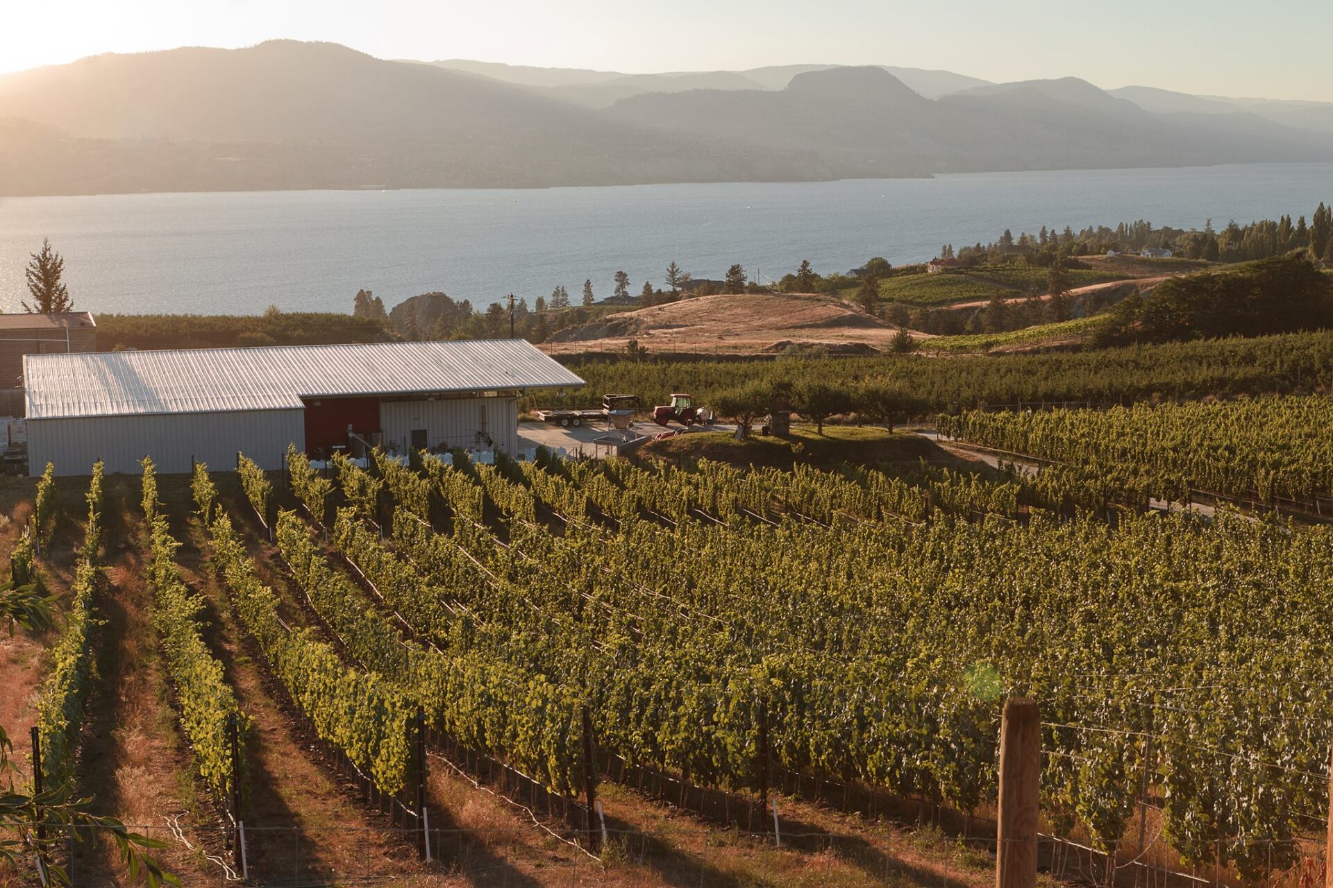 joiefarm winery