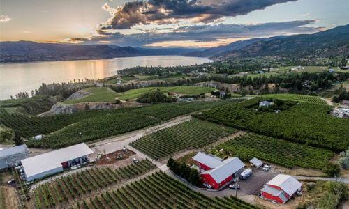 joiefarm winery Vista